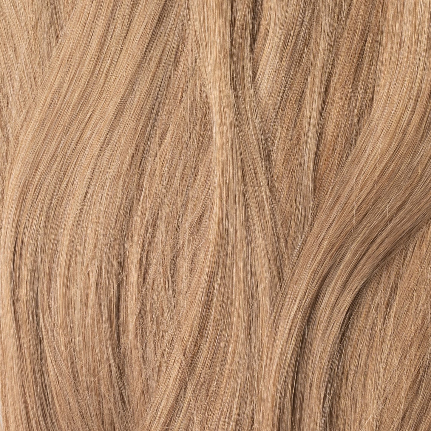 Clip in Ponytail - Dark Beige Blonde 12B